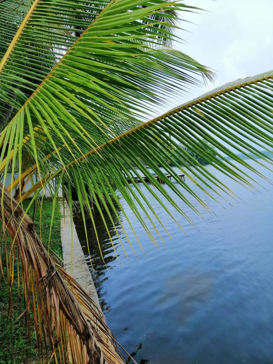 Hikka Lagoon Хикадува Екстериор снимка